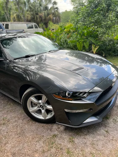 Glossy gray Ford Mustang hood and fender after a paint-safe wash